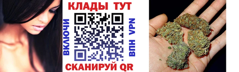 Виды наркотиков купить Североморск Alpha-PVP  Мефедрон  ГАШ  Псилоцибиновые грибы  Бошки Шишки 