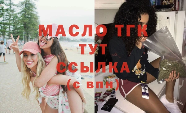 стаф Пересвет